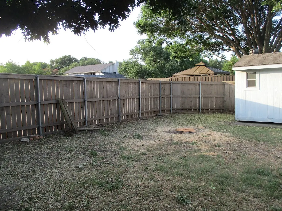 Cleared yard after professional tree removal in Wonalancet